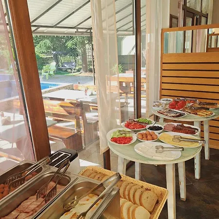 415 ساني بيتش